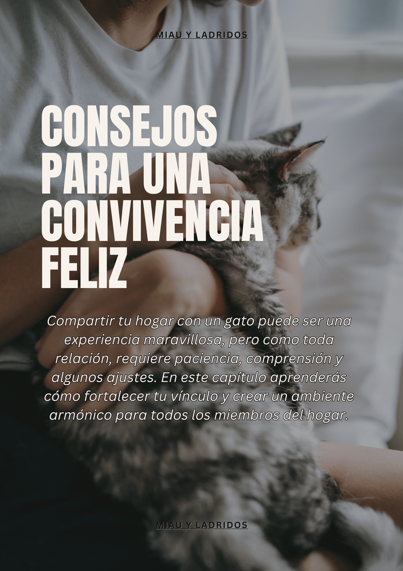 Guía Básica de Cuidado de Gatos 🐾 Todo lo que necesitas saber para mantener feliz a tu felino