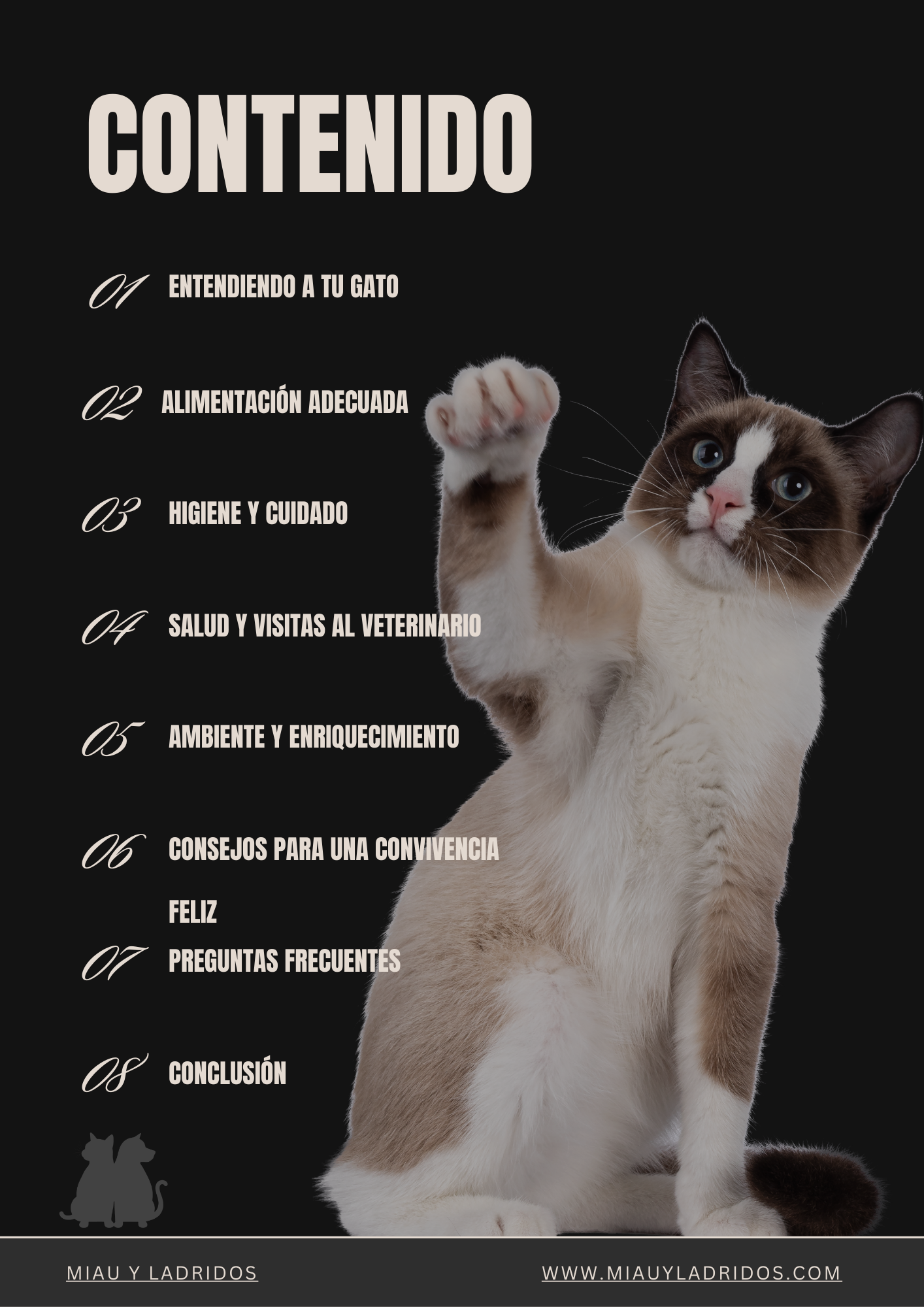 Guía Básica de Cuidado de Gatos 🐾 Todo lo que necesitas saber para mantener feliz a tu felino