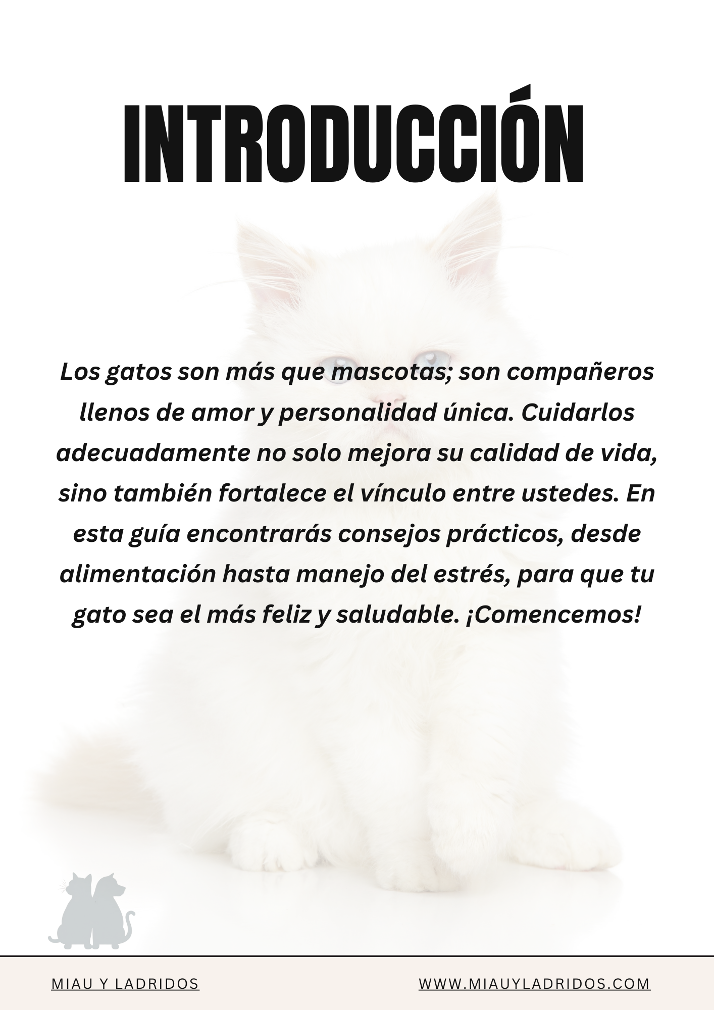 Guía Básica de Cuidado de Gatos 🐾 Todo lo que necesitas saber para mantener feliz a tu felino