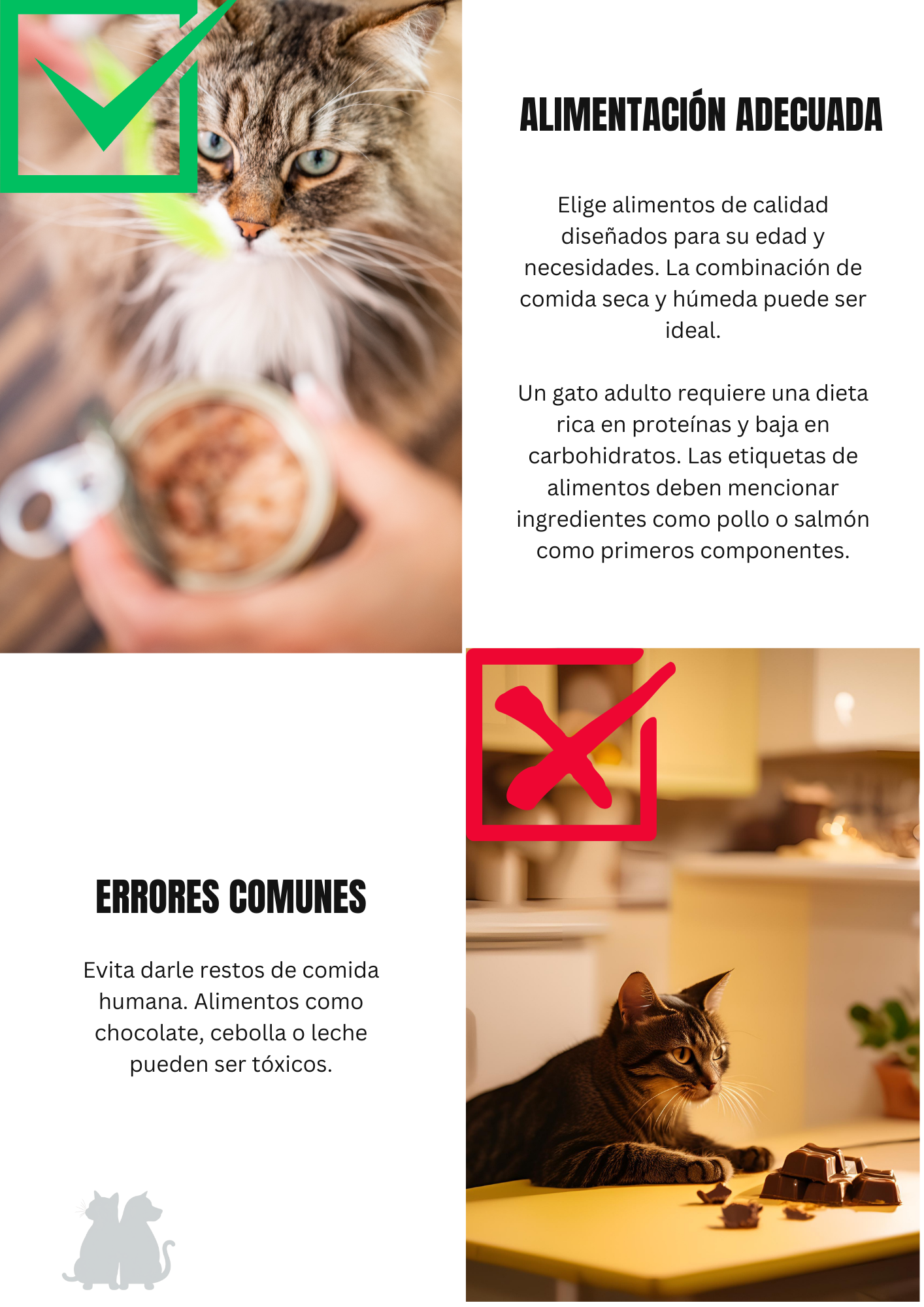 Guía Básica de Cuidado de Gatos 🐾 Todo lo que necesitas saber para mantener feliz a tu felino