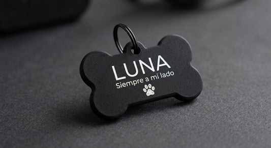 🐾 Plaquita Personalizada  Colección Clásica