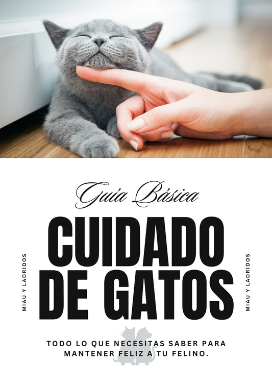 Guía Básica de Cuidado de Gatos 🐾