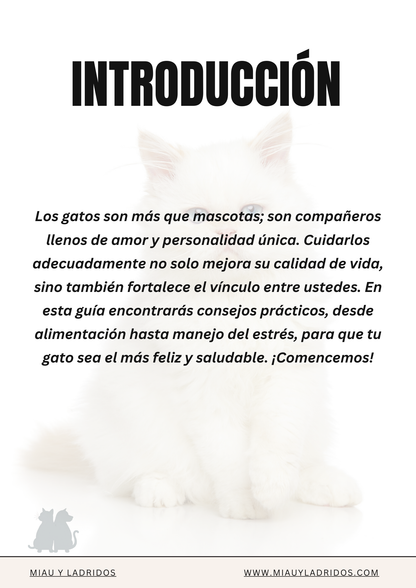 Guía Básica de Cuidado de Gatos 🐾  Todo lo que necesitas saber para mantener feliz a tu felino