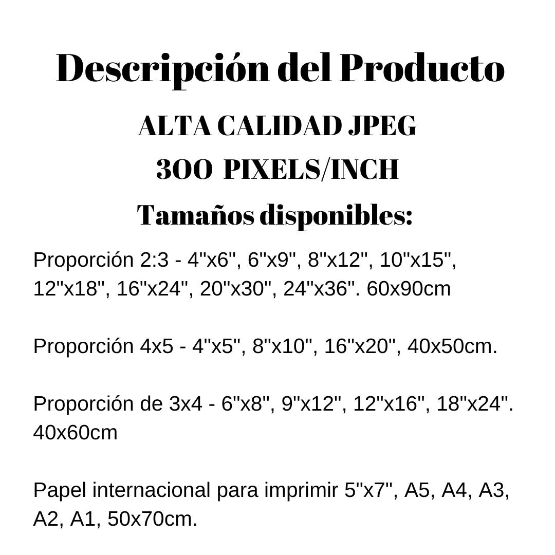 Cuadro Digital de Gato Minimalista Decoración para Sala y Dormitorio Descarga Instantánea Impresión para Hogar.
